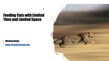 Feeding the Cats with Limited Space - Michael Boyle